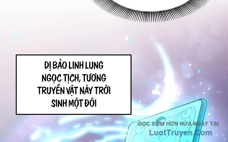 Kim Đan To Bằng Hằng Tinh! Ngươi Gọi Đây Mà Là Tu Tiên Á?! Chap 6 - Next Chap 7