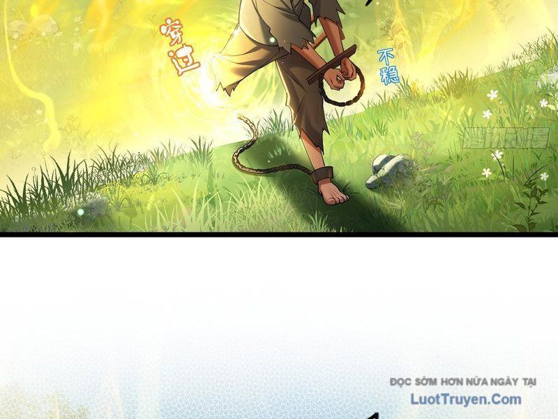 Kim Đan To Bằng Hằng Tinh! Ngươi Gọi Đây Mà Là Tu Tiên Á?! Chap 8 - Next Chap 9