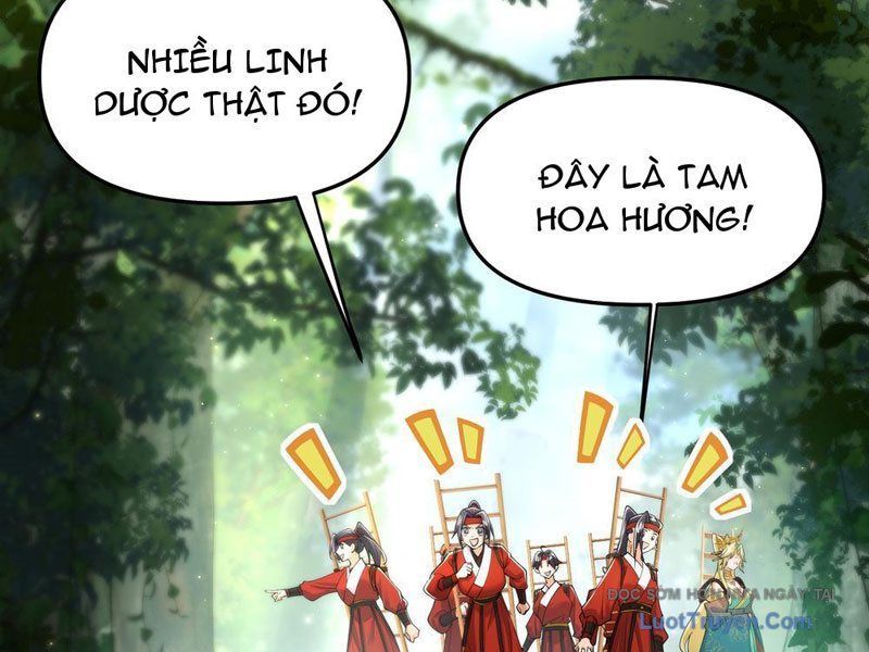 Kim Đan To Bằng Hằng Tinh! Ngươi Gọi Đây Mà Là Tu Tiên Á?! Chap 8 - Next Chap 9