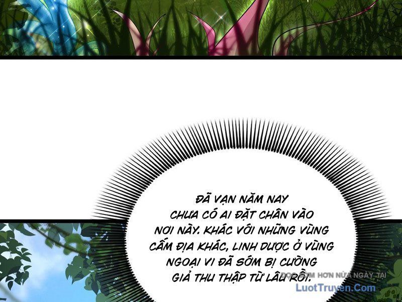 Kim Đan To Bằng Hằng Tinh! Ngươi Gọi Đây Mà Là Tu Tiên Á?! Chap 8 - Next Chap 9