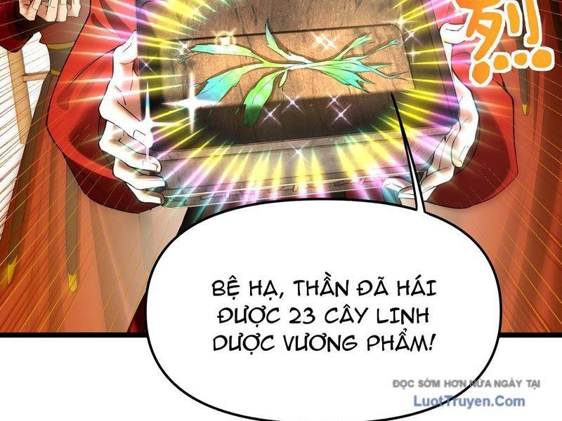 Kim Đan To Bằng Hằng Tinh! Ngươi Gọi Đây Mà Là Tu Tiên Á?! Chap 8 - Next Chap 9