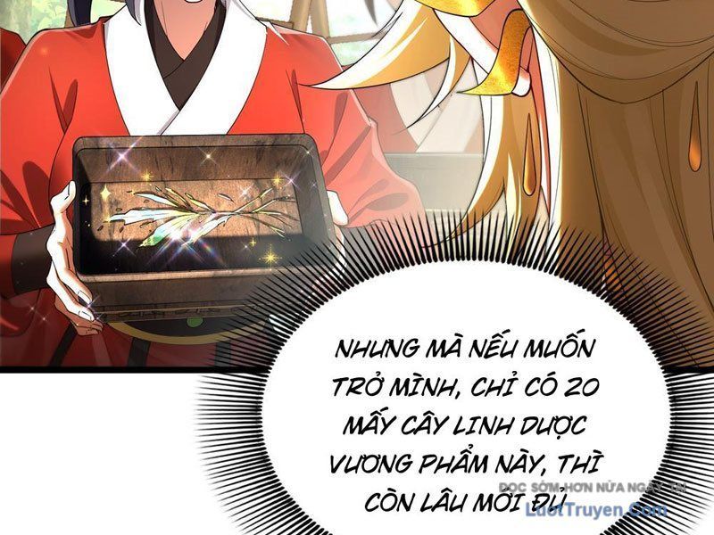 Kim Đan To Bằng Hằng Tinh! Ngươi Gọi Đây Mà Là Tu Tiên Á?! Chap 8 - Next Chap 9