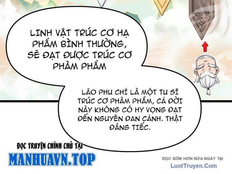 Kim Đan To Bằng Hằng Tinh! Ngươi Gọi Đây Mà Là Tu Tiên Á?! Chap 9 - Next Chap 10