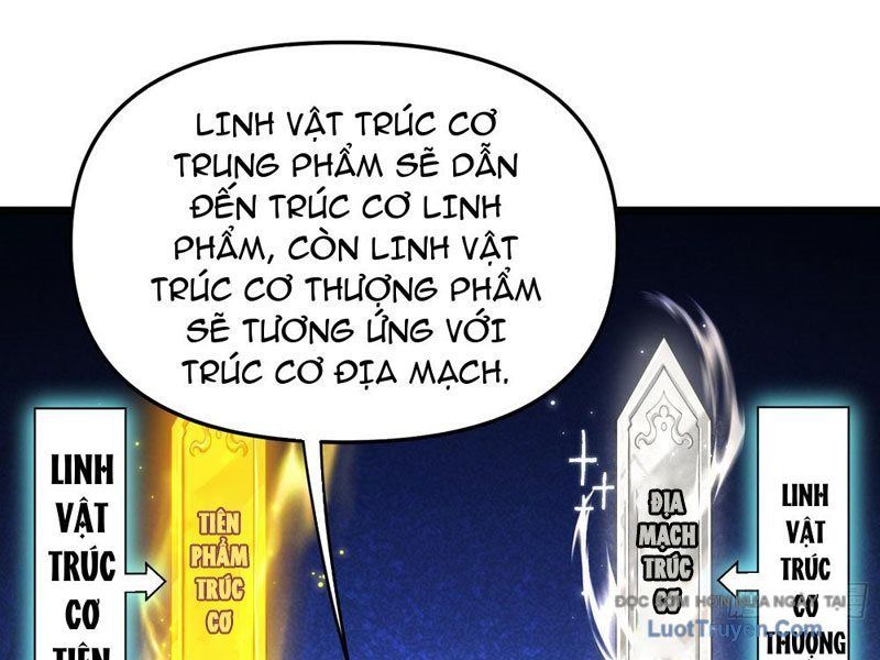 Kim Đan To Bằng Hằng Tinh! Ngươi Gọi Đây Mà Là Tu Tiên Á?! Chap 9 - Next Chap 10
