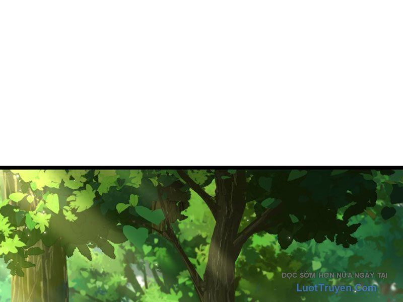 Kim Đan To Bằng Hằng Tinh! Ngươi Gọi Đây Mà Là Tu Tiên Á?! Chap 9 - Next Chap 10