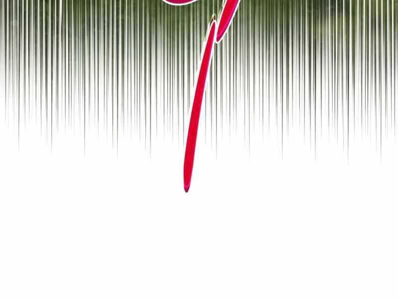 Kim Giáp Đồ Long Chap 20 - Next Chap 21