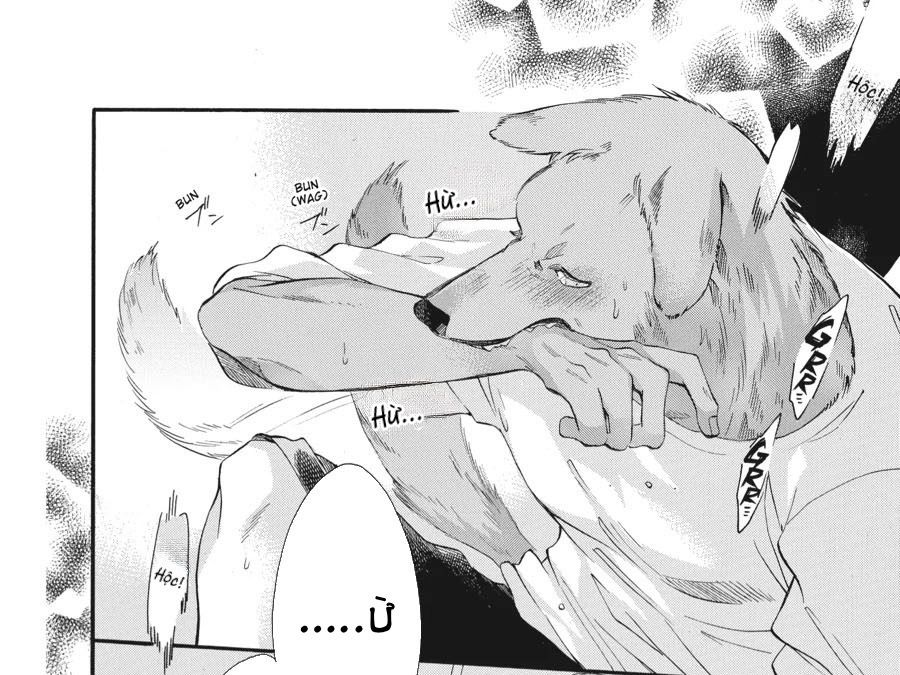 Kimi to Koete Koi ni Naru Chap 3 - Next Chap 4