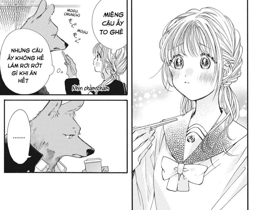 Kimi to Koete Koi ni Naru Chap 5 - Next Chap 6