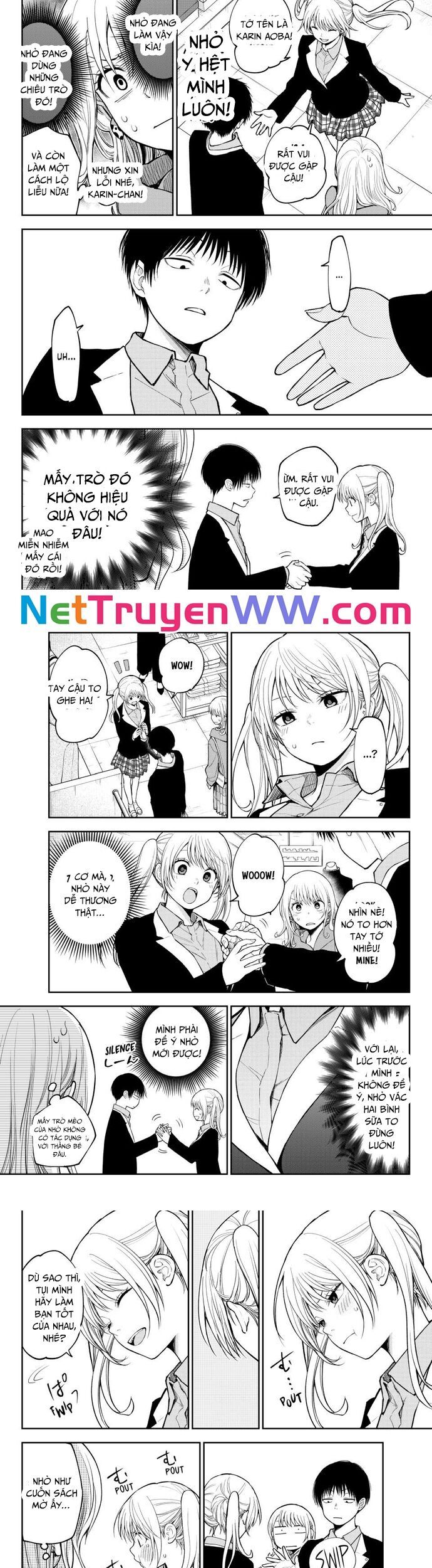 Kuroiwa Medaka Ni Watashi No Kawaii Ga Tsuujinai Chap 145 - Next Chap 146