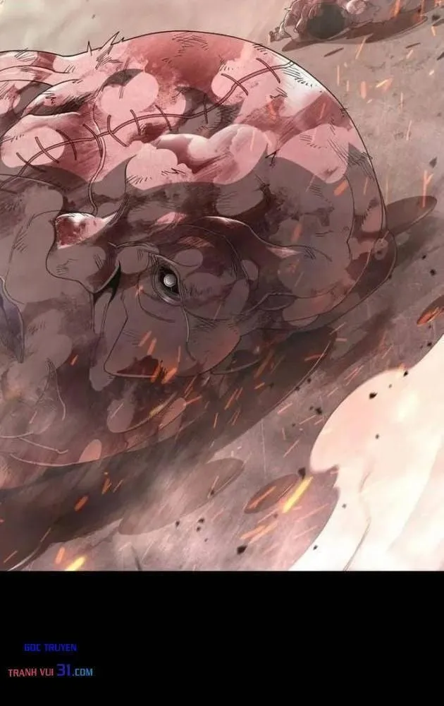 Kỷ Nguyên Siêu Anh Hùng Chap 257 - Next Chap 258