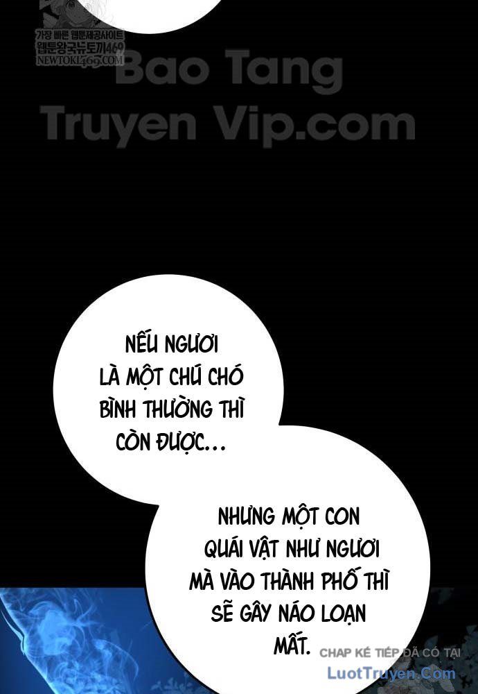 Kỵ Sĩ Lang Thang Chap 18 - Next Chap 19