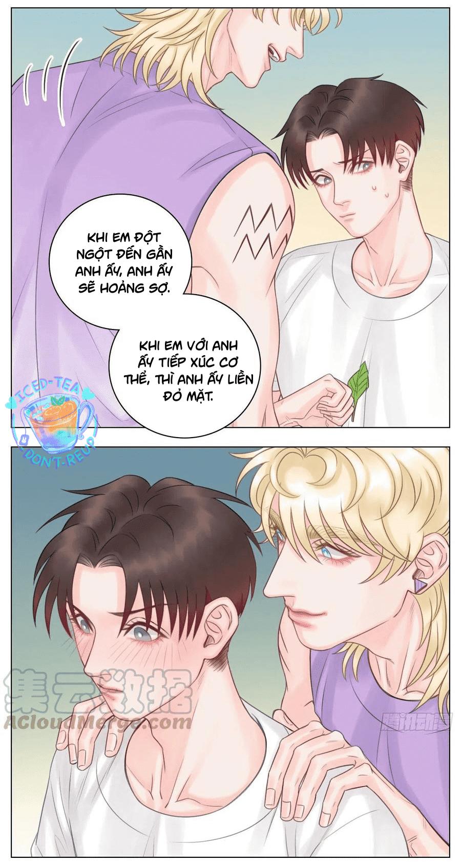 Ký Túc Xá Nam Phòng 303 Chap 48 - Next Chap 49