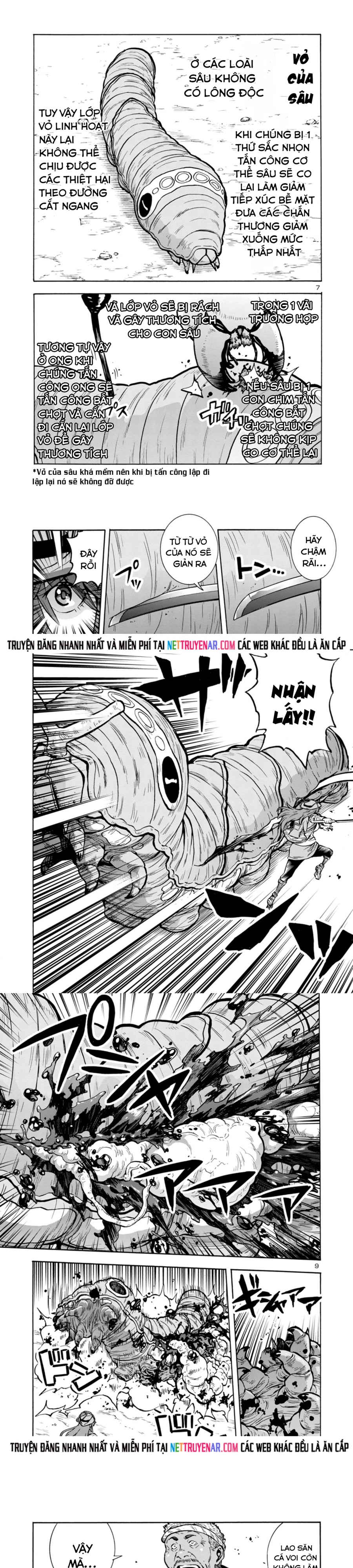 Kyochuu Rettou - Đảo Côn Trùng Chap 74 - Next Chap 75