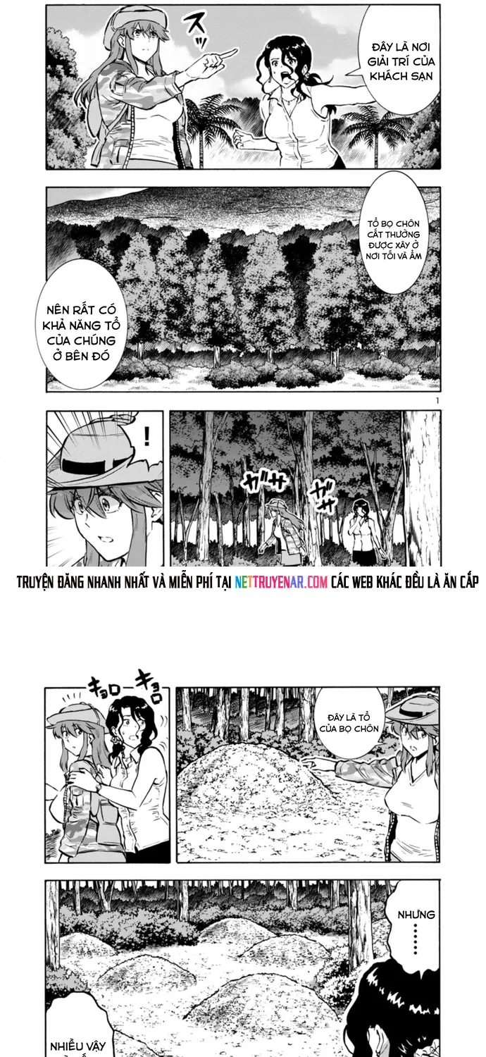 Kyochuu Rettou - Đảo Côn Trùng Chap 82 - Next Chap 83