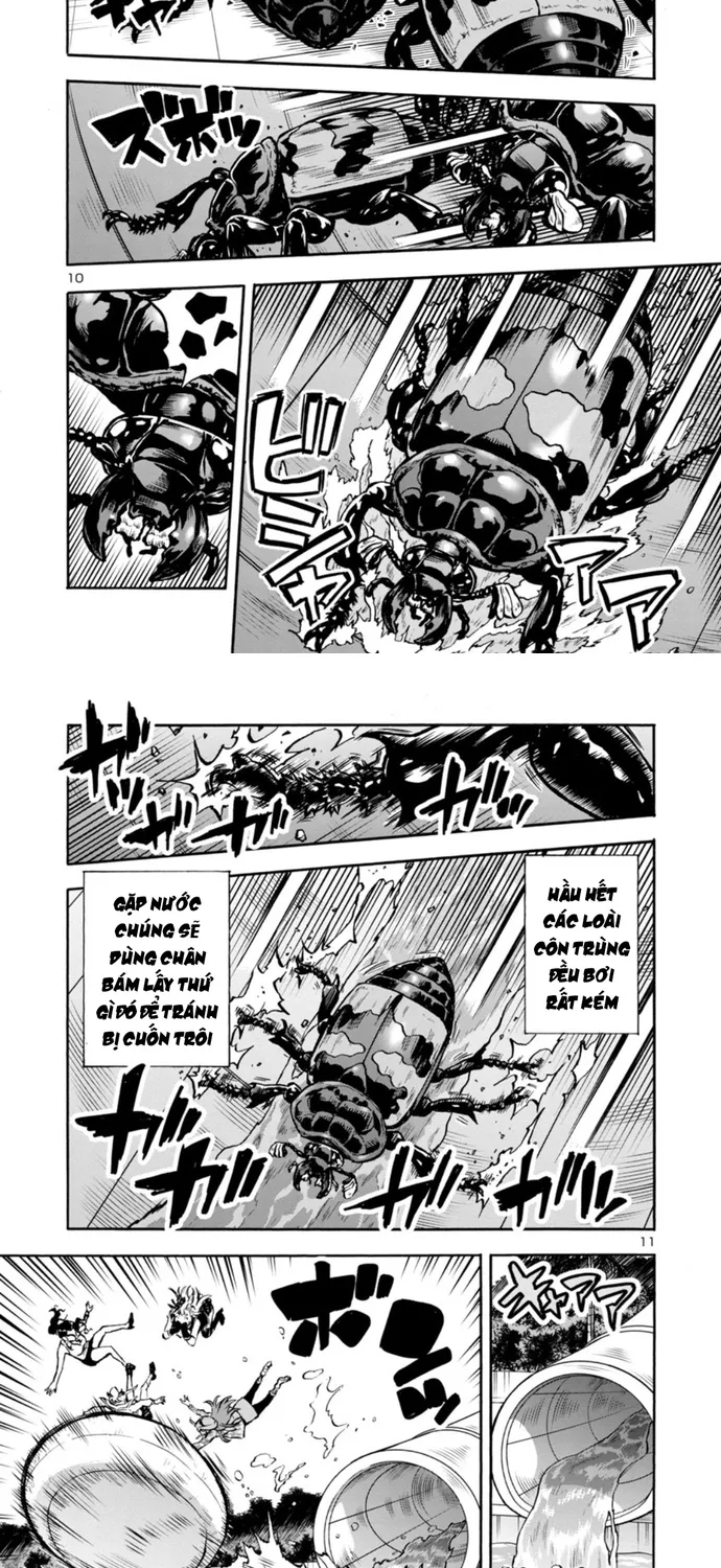 Kyochuu Rettou - Đảo Côn Trùng Chap 83 - Next Chap 84