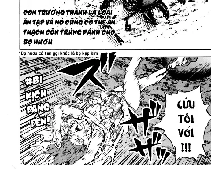 Kyochuu Rettou - Đảo Côn Trùng Chap 85 - Next Chap 86