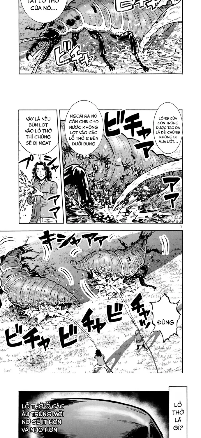 Kyochuu Rettou - Đảo Côn Trùng Chap 89 - Next Chap 90