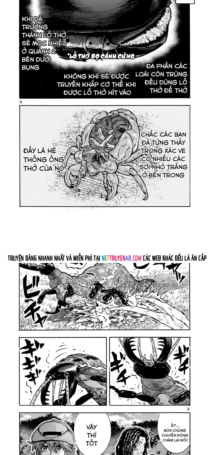 Kyochuu Rettou - Đảo Côn Trùng Chap 89 - Next Chap 90