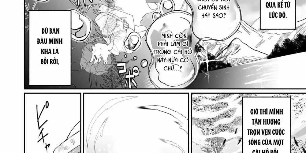 Làm Đại Linh Thủy Ở Dị Giới Chap 1 - Next Chap 2