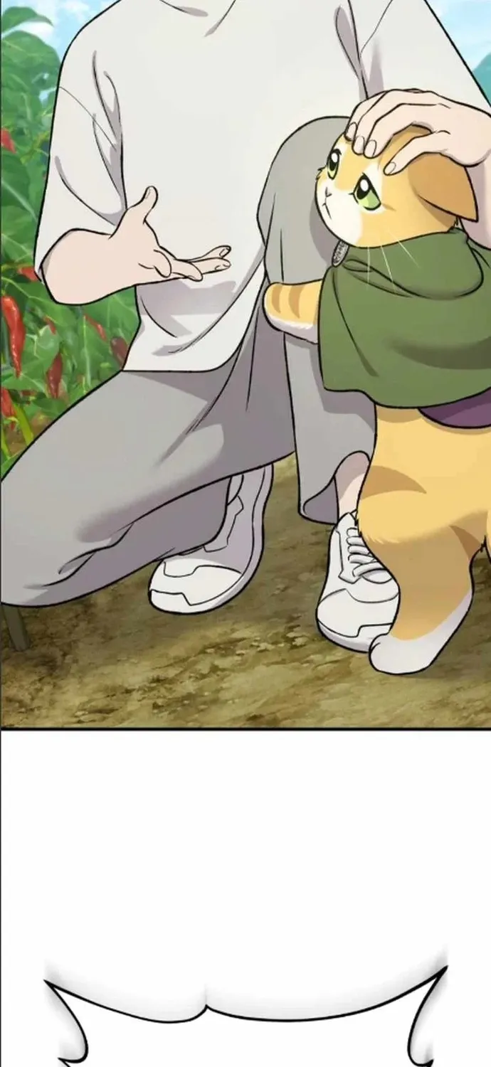 80