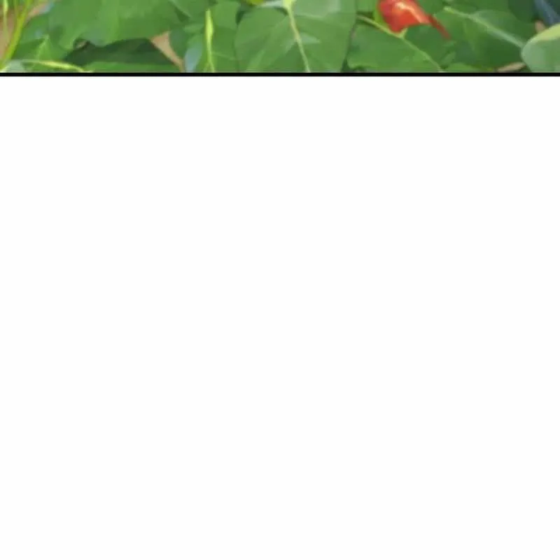 Làm Nông Dân Trong Tòa Tháp Thử Thách Chap 125 - Next Chap 126