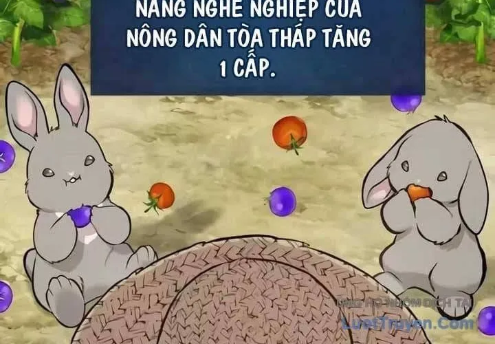 Làm Nông Dân Trong Tòa Tháp Thử Thách Chap 148 - Next Chap 149