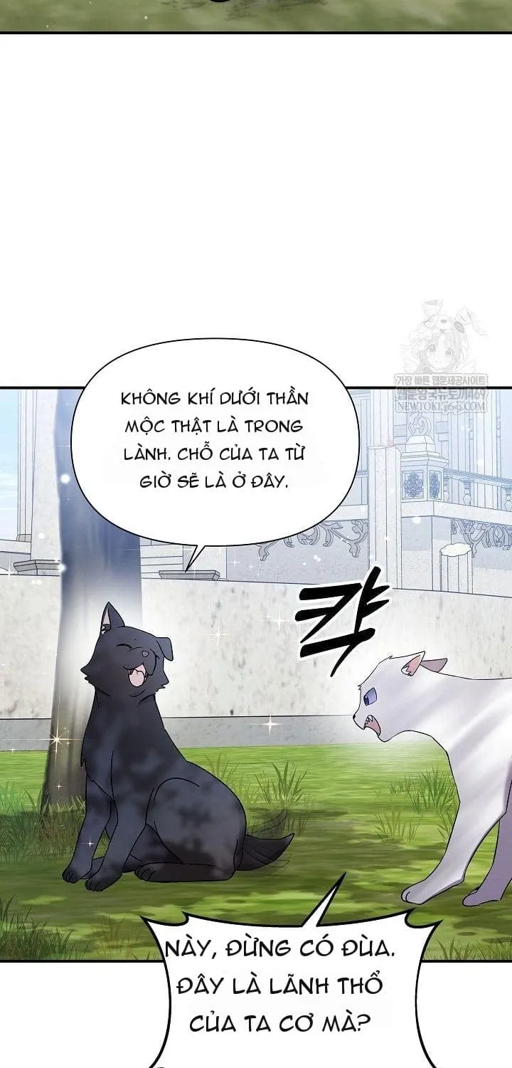 Làm Ơn Dừng Đức Giáo Hoàng Lại Chap 77 - Next Chap 78