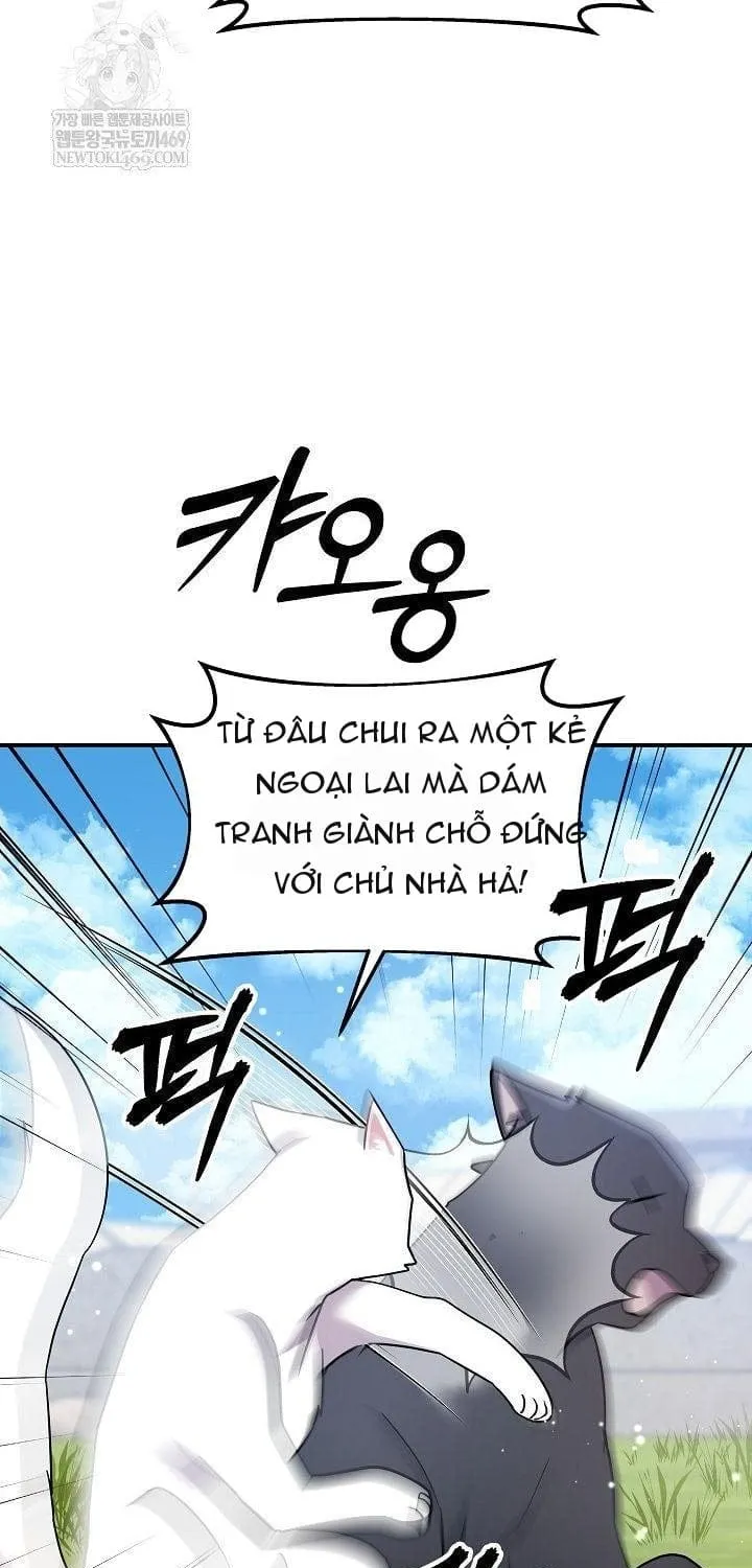 Làm Ơn Dừng Đức Giáo Hoàng Lại Chap 77 - Next Chap 78