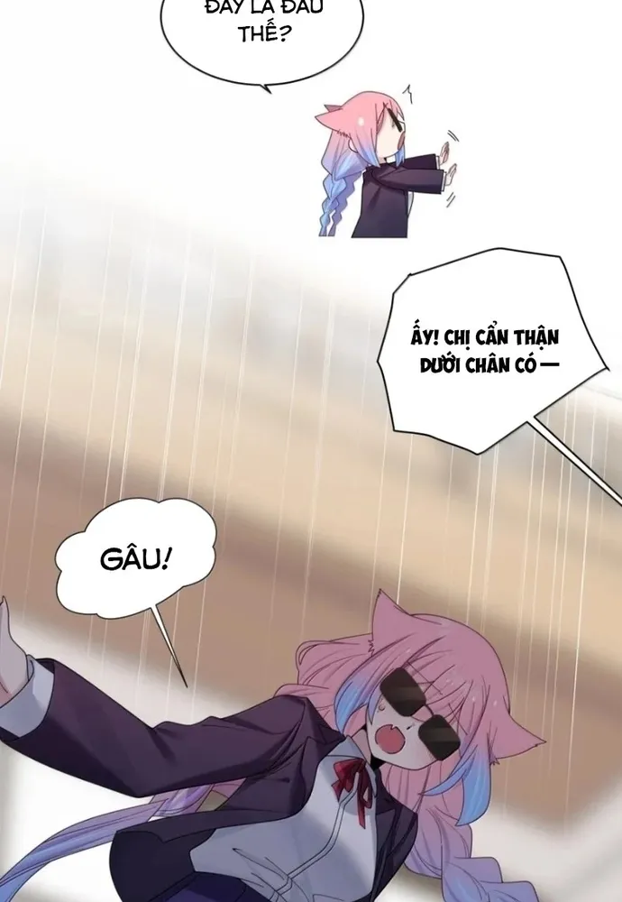 Làm Sao Để Chạy Trốn Dàn Hậu Cung Chap 206 - Next Chap 207