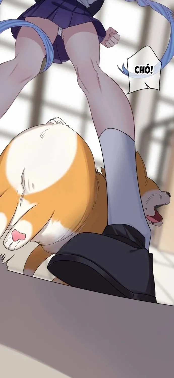 Làm Sao Để Chạy Trốn Dàn Hậu Cung Chap 206 - Next Chap 207