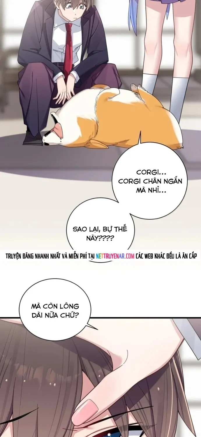 Làm Sao Để Chạy Trốn Dàn Hậu Cung Chap 206 - Next Chap 207