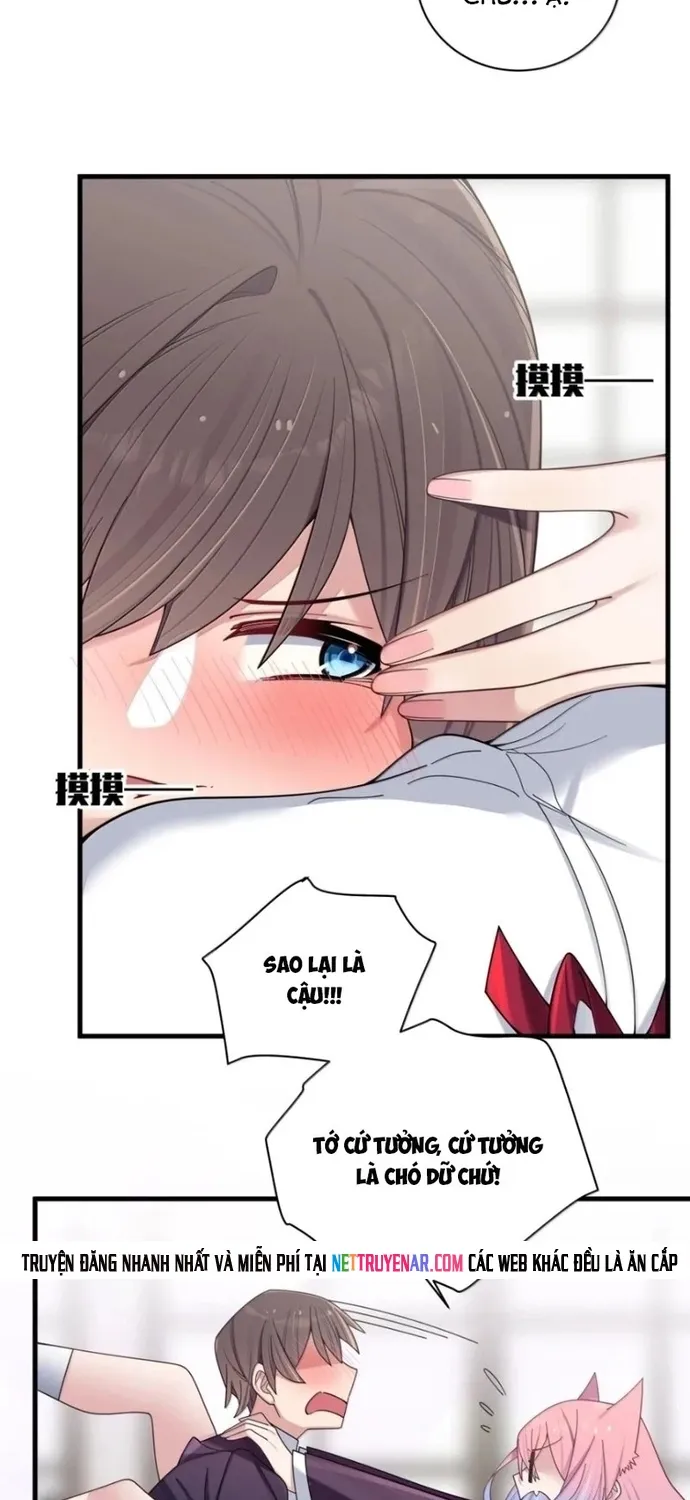 Làm Sao Để Chạy Trốn Dàn Hậu Cung Chap 206 - Next Chap 207