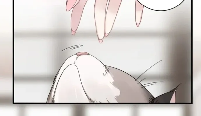 Làm Sao Để Chạy Trốn Dàn Hậu Cung Chap 207 - Next Chap 208
