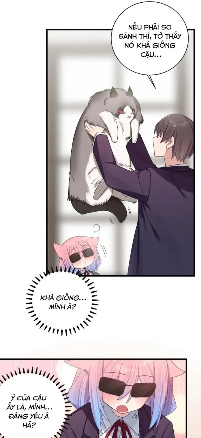 Làm Sao Để Chạy Trốn Dàn Hậu Cung Chap 207 - Next Chap 208