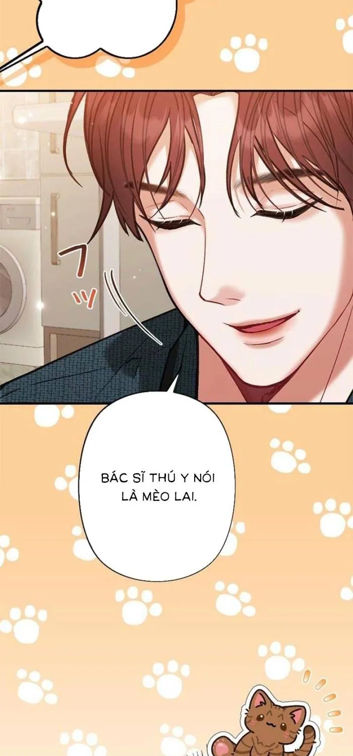 Lần Đầu Của Tổng Tài Chap 17.2 - Next Chap 18.2