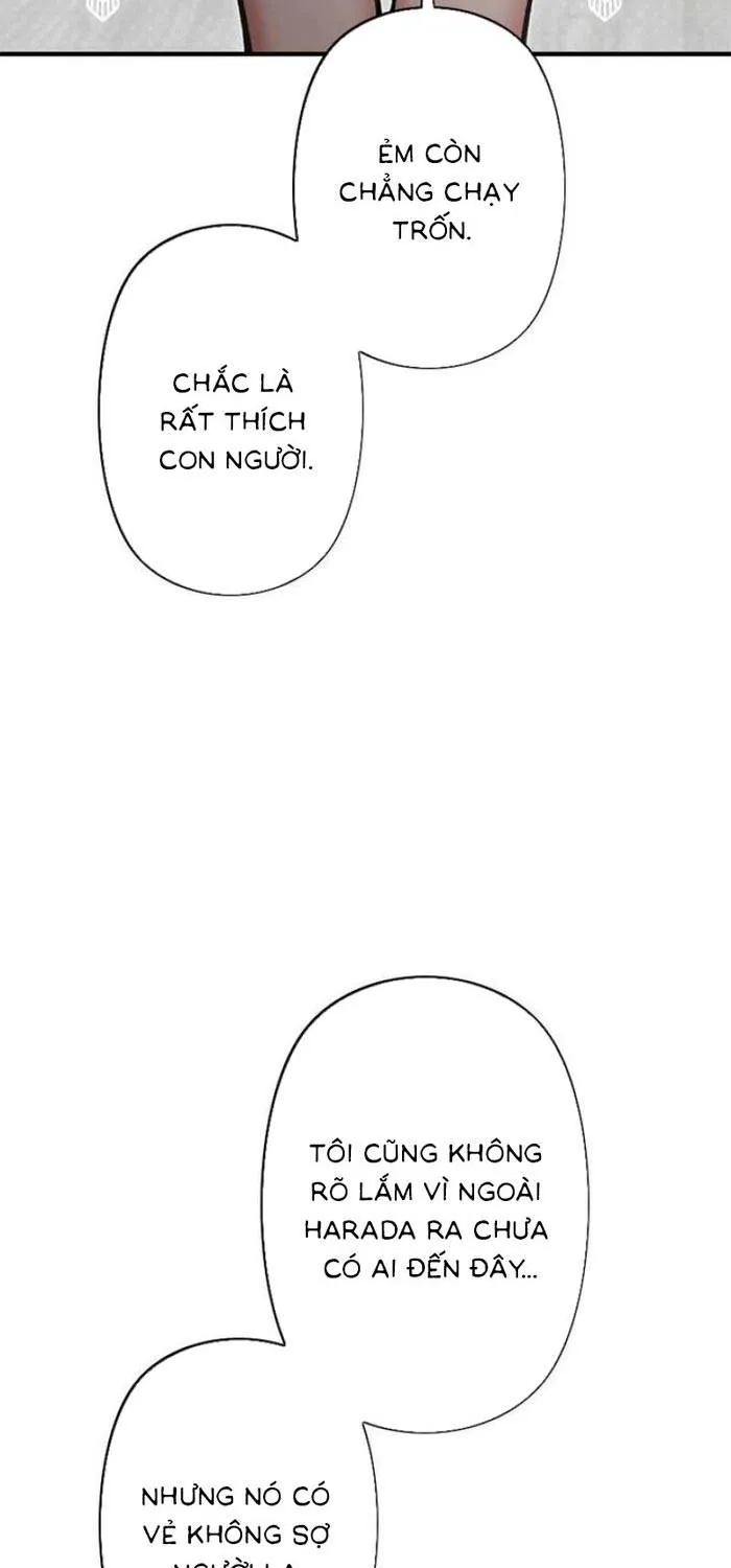 Lần Đầu Của Tổng Tài Chap 18.1 - Next Chap 19.1