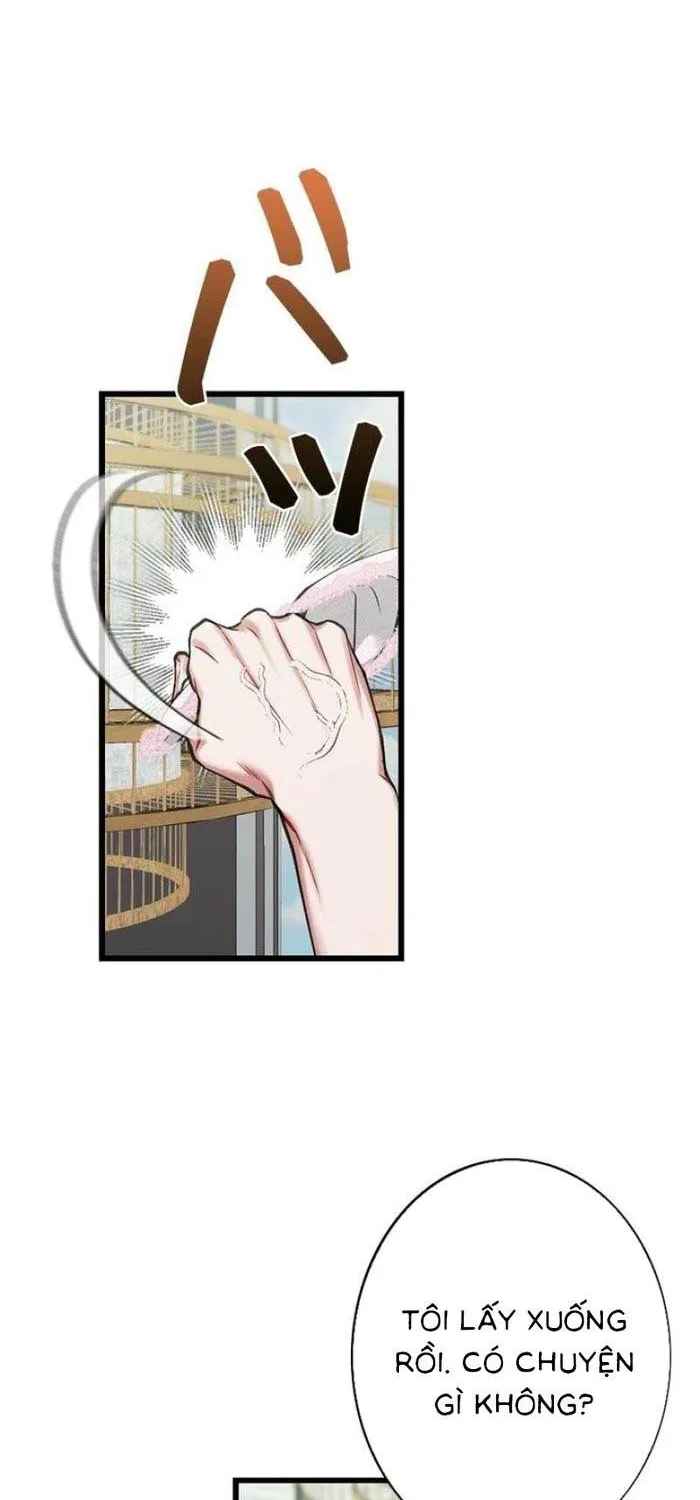 Lần Đầu Của Tổng Tài Chap 7.1 - Next Chap 8.1