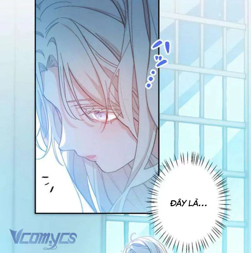 Lần Này, Tôi Sẽ Tránh Cuộc Hôn Nhân Với Anh - Cách Để Rời Xa Anh, Một Người Không Có Tình Yêu Chap 16 - Next Chap 17