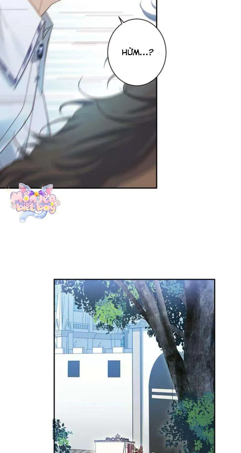 Lần Này, Tôi Sẽ Tránh Cuộc Hôn Nhân Với Anh - Cách Để Rời Xa Anh, Một Người Không Có Tình Yêu Chap 16 - Next Chap 17