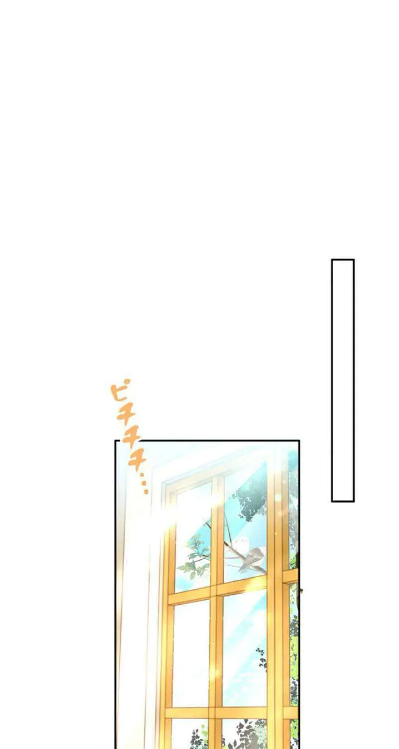 Lần Này, Tôi Sẽ Tránh Cuộc Hôn Nhân Với Anh - Cách Để Rời Xa Anh, Một Người Không Có Tình Yêu Chap 16 - Next Chap 17