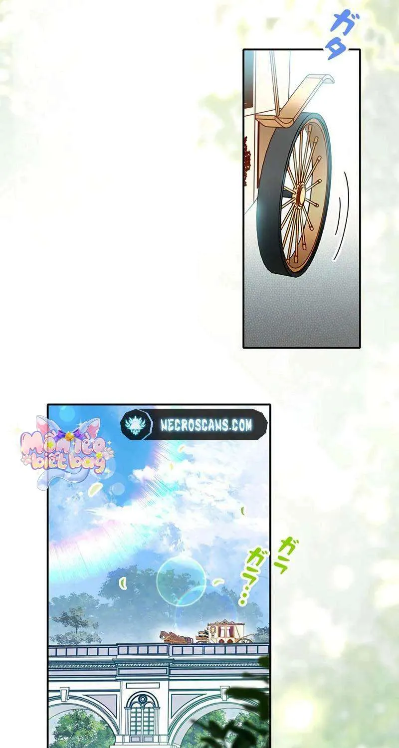 Lần này, tôi sẽ tránh cuộc hôn nhân với anh - Cách để rời xa anh, một người không có tình yêu Chap 17 - Next Chap 18