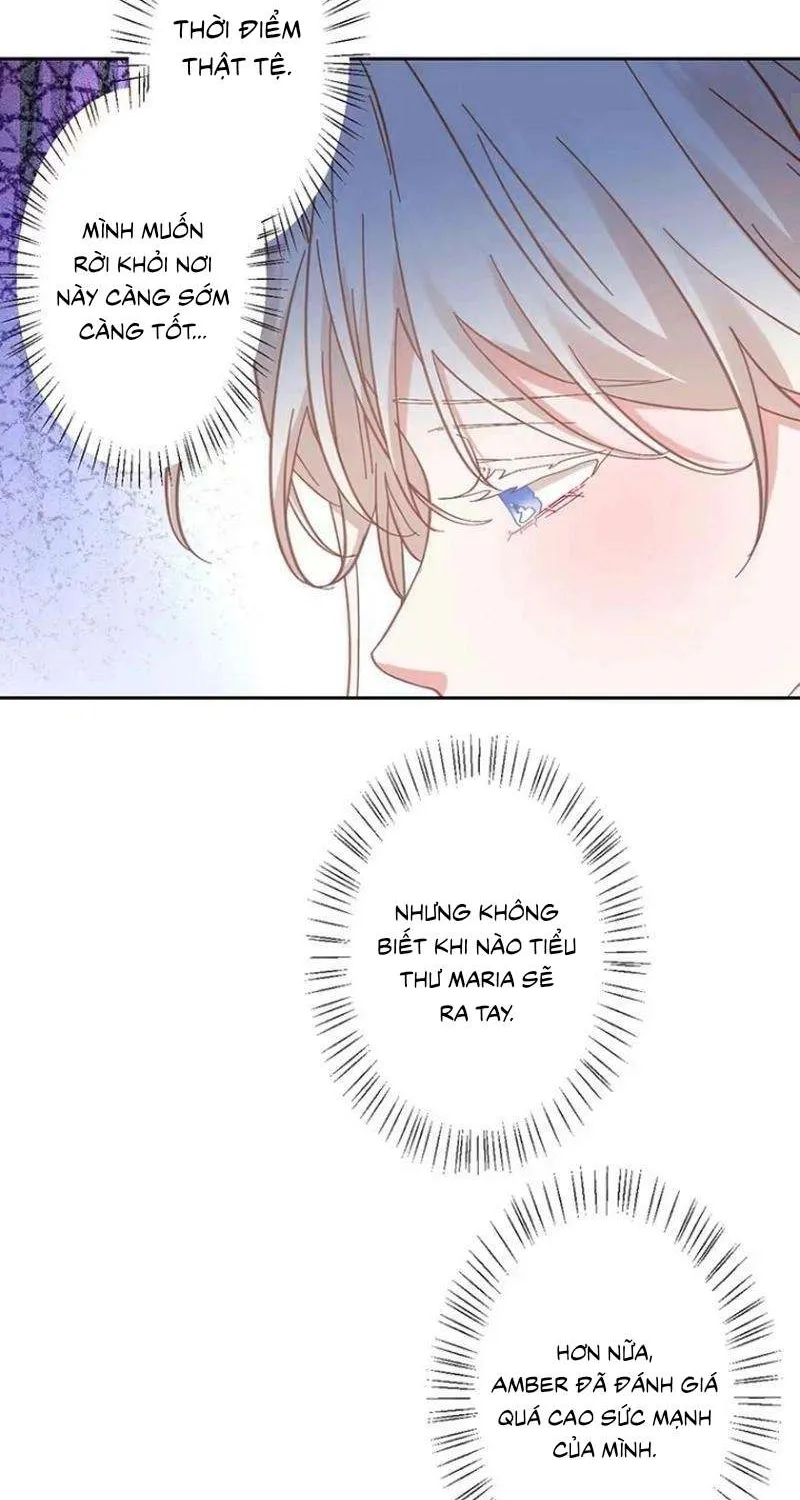 Lần Này, Tôi Sẽ Tránh Cuộc Hôn Nhân Với Anh - Cách Để Rời Xa Anh, Một Người Không Có Tình Yêu Chap 19 - Next Chap 20