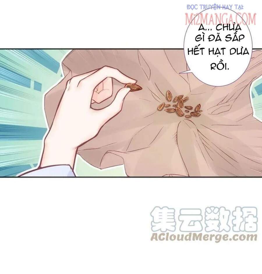 Lão Đại Xuyên Không Thành Tiên Nữ Chap 100 - Next Chap 101