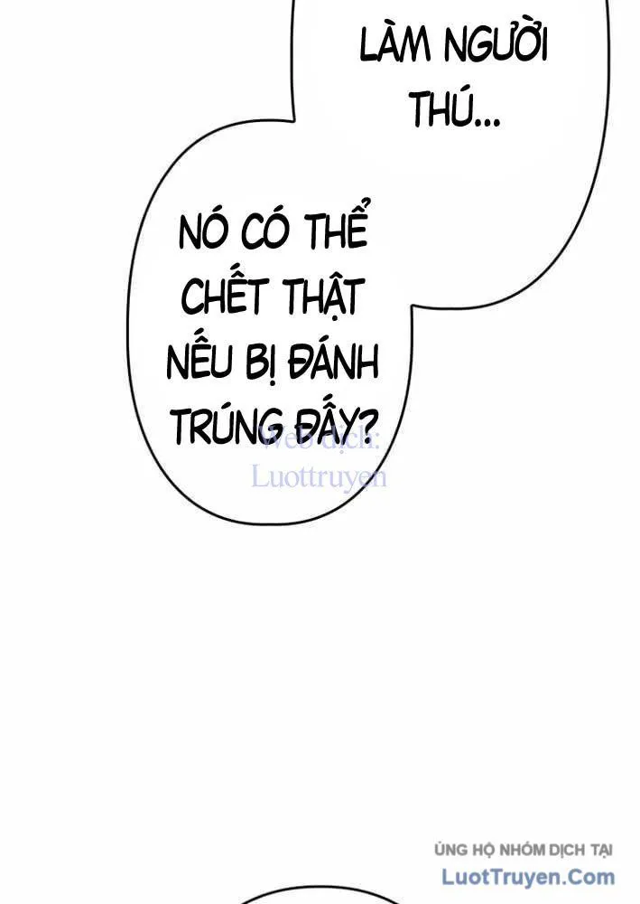 Lão Tù Nhân Mạnh Nhất Vẫn Liên Tục Sống Sót Chap 22 - Next Chap 23