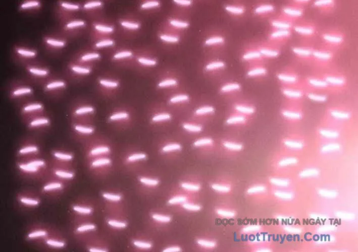 Lây Nhiễm - Làm Sóng Zombie Chap 15 - Next Chap 16