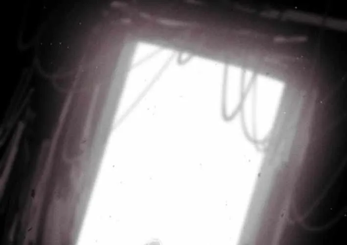 Lây Nhiễm - Làm Sóng Zombie Chap 15 - Next Chap 16