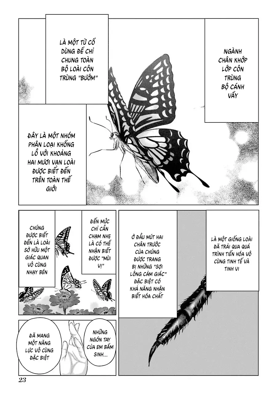 Lepidoptela Chap 1 - Next Chap 2