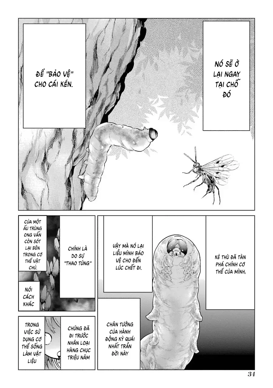 Lepidoptela Chap 1 - Next Chap 2