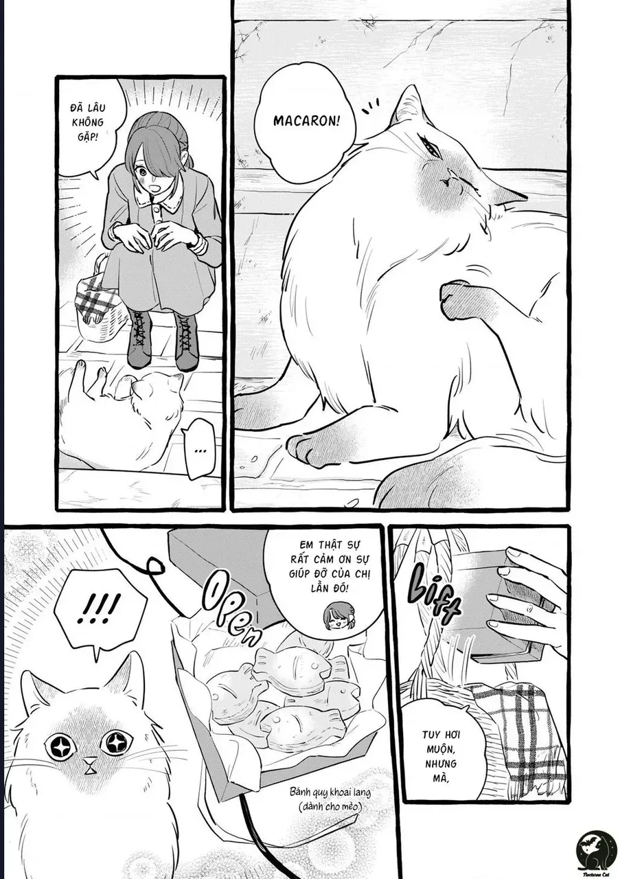 Liệu Có Thể Tìm Được Một Công Việc Lâu Dài Không? Bắt Đầu Cuộc Sống Mới Với Một Vị Pháp Sư Ít Nói Và Khó Gần~ Chap 16 - Next Chap 17