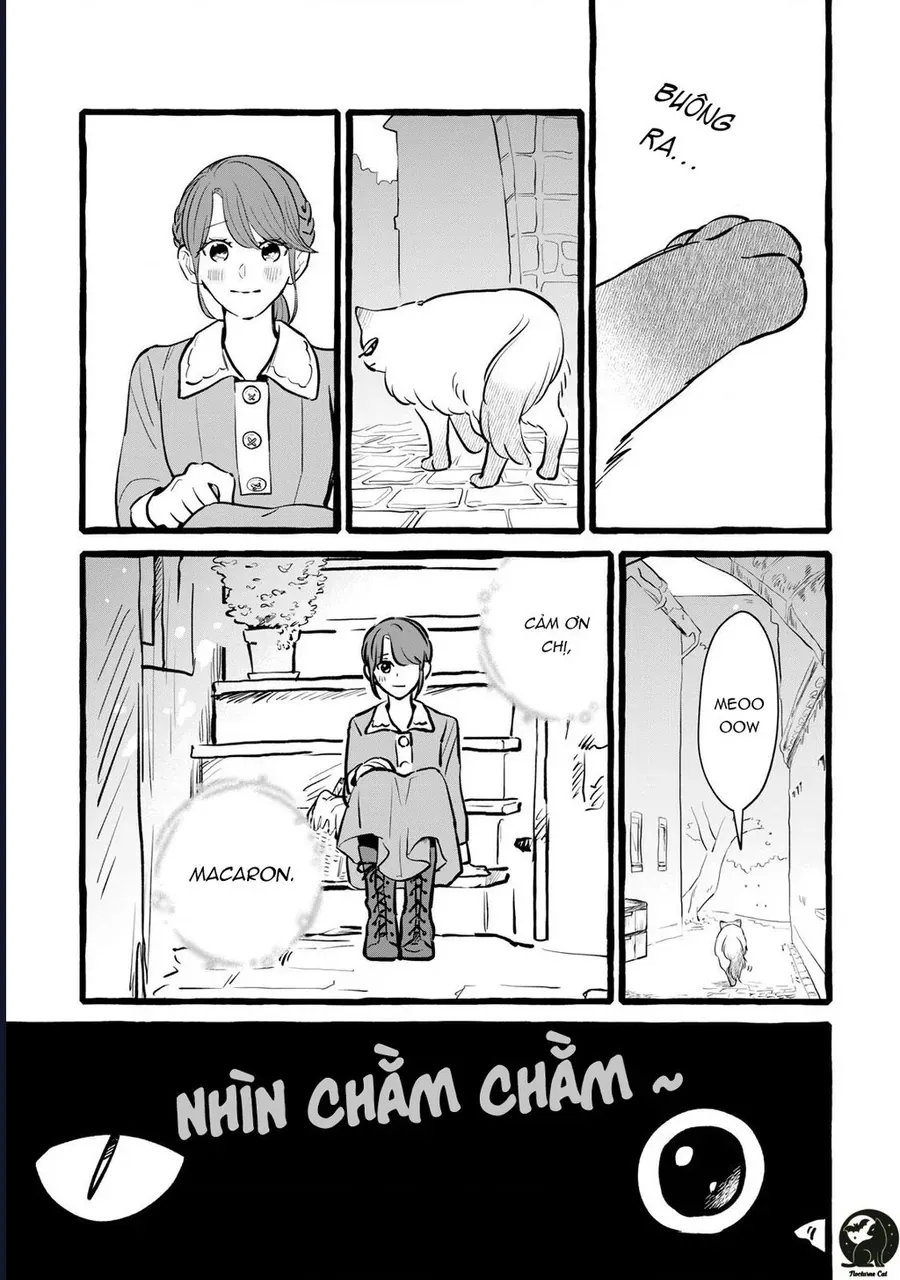 Liệu Có Thể Tìm Được Một Công Việc Lâu Dài Không? Bắt Đầu Cuộc Sống Mới Với Một Vị Pháp Sư Ít Nói Và Khó Gần~ Chap 16 - Next Chap 17